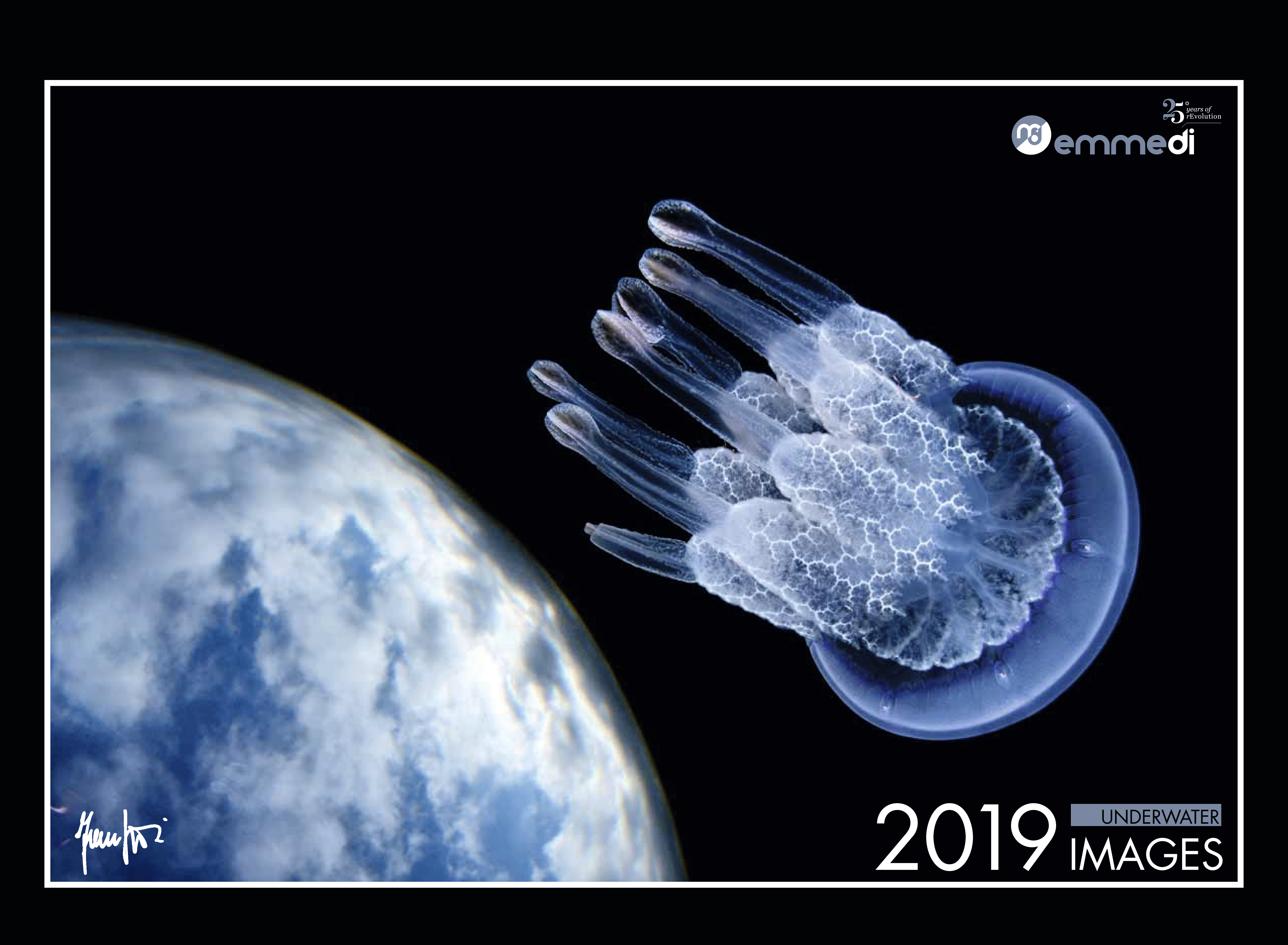 Underwater Calendar 2019